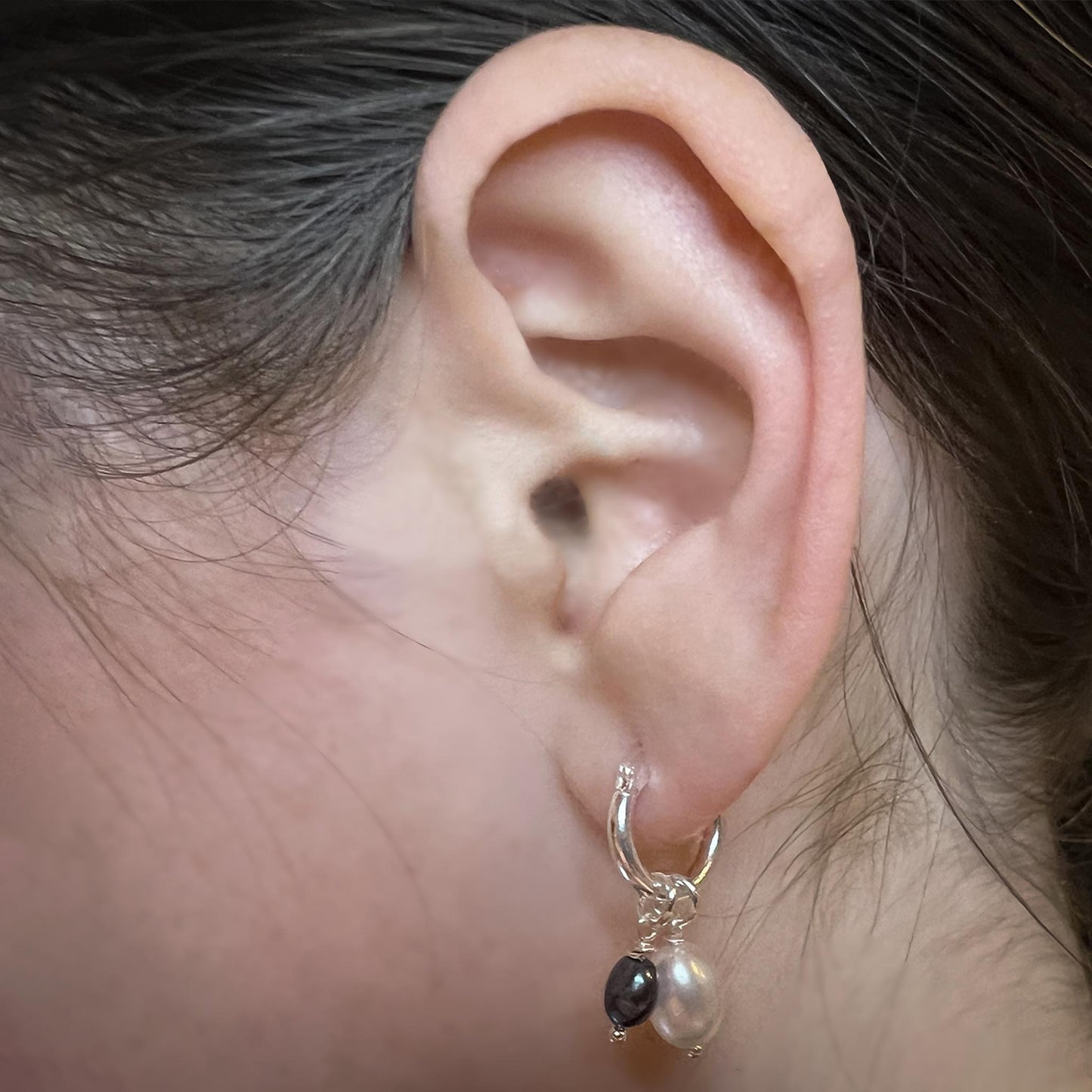 Silfur hringskraut - Perlur